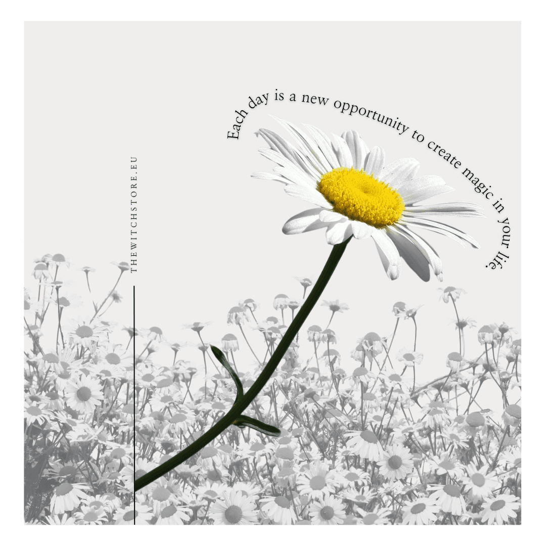 Each day is a new opportunity to create magic in your life.