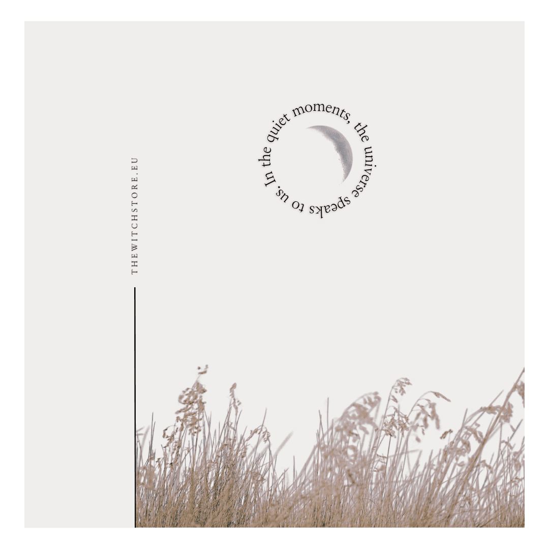 In the quiet moments, the universe speaks to us.