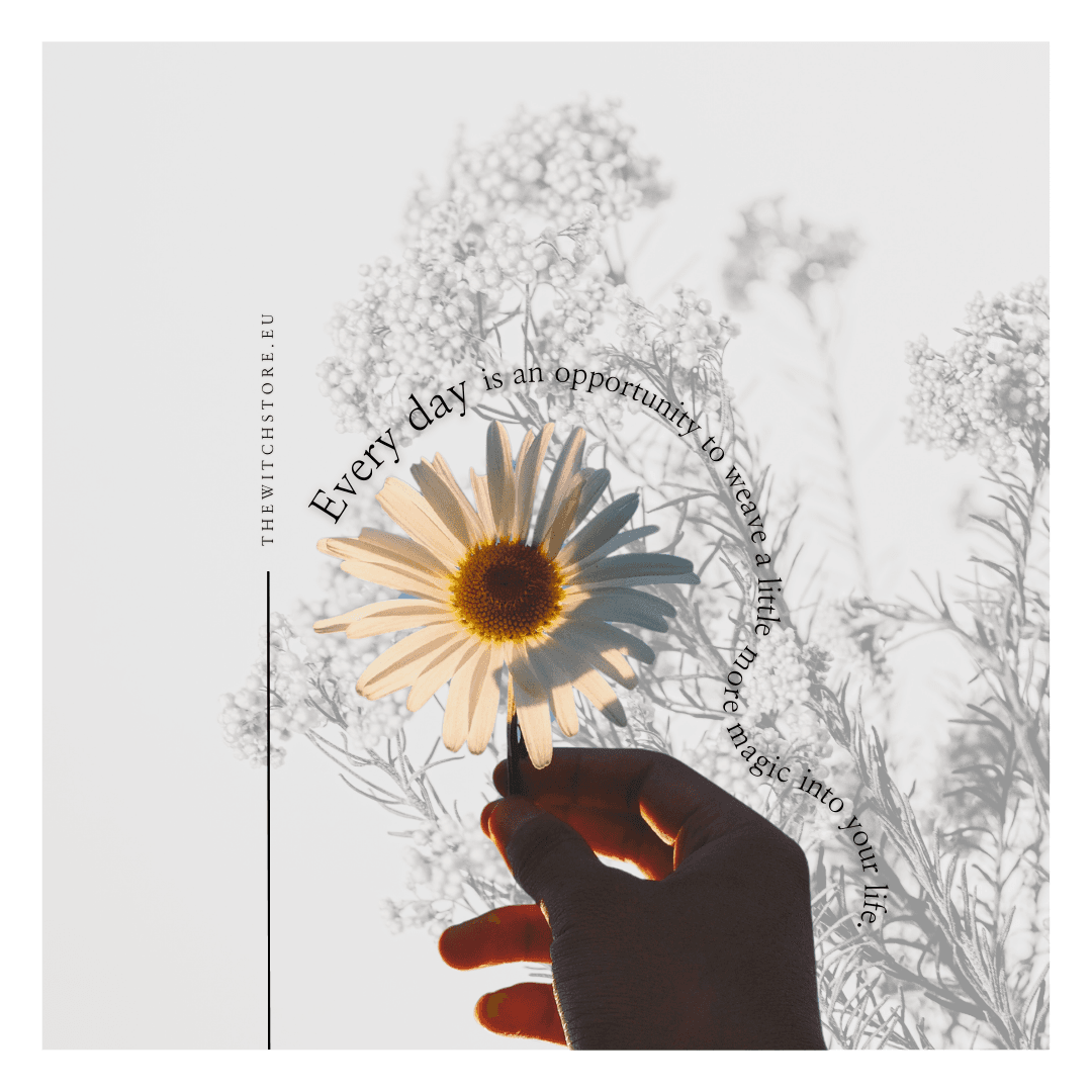 Every day is an opportunity to weave a little more magic into your life.